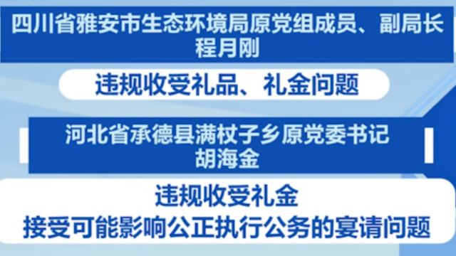 中央纪委国家监委网站,通报元旦春节期间“四风”问题7起典型案例