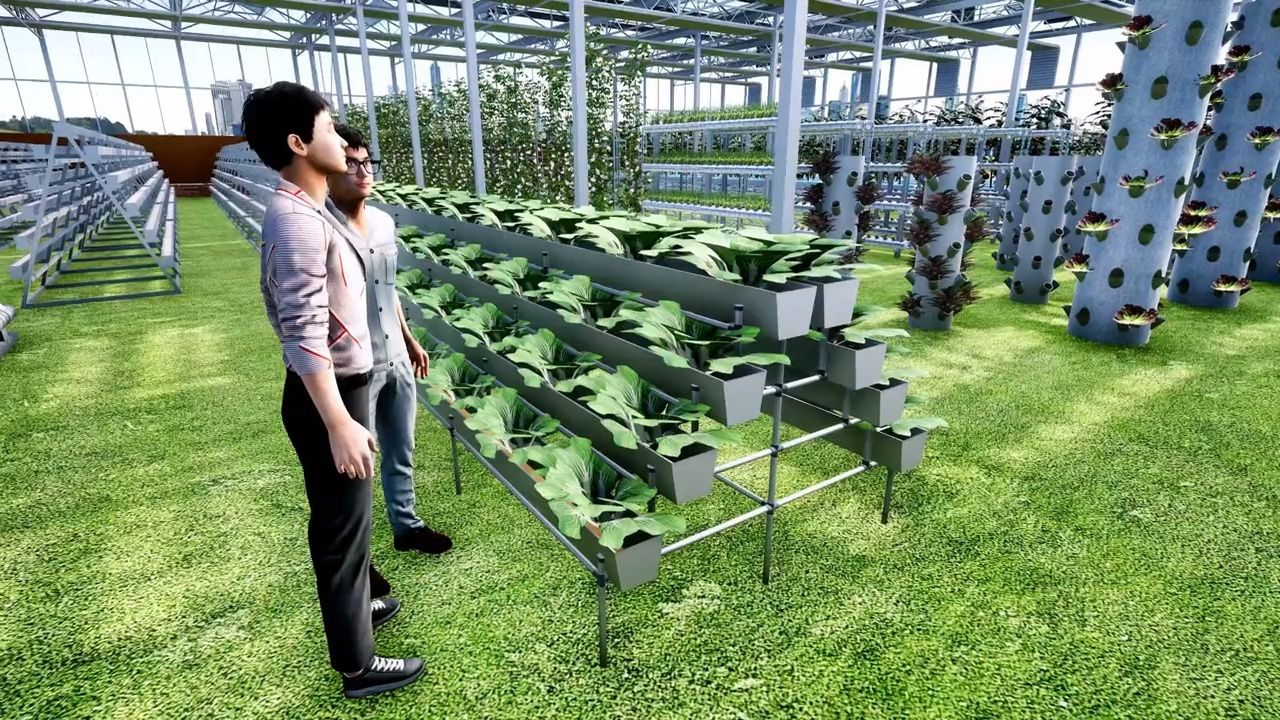 无土栽培立体种植