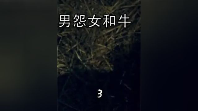 一部让人绝望的伦理电影,拍出女人婚后的心酸,残忍又真实!