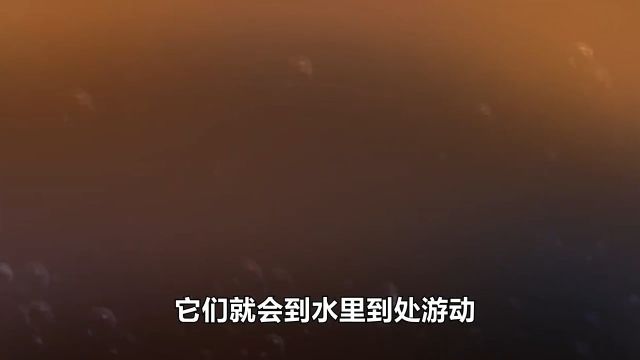 一米长的龙线虫有多可怕?曾每年寄生350万人,只能强行拽出体外#寄生虫#非洲#科普一下 2