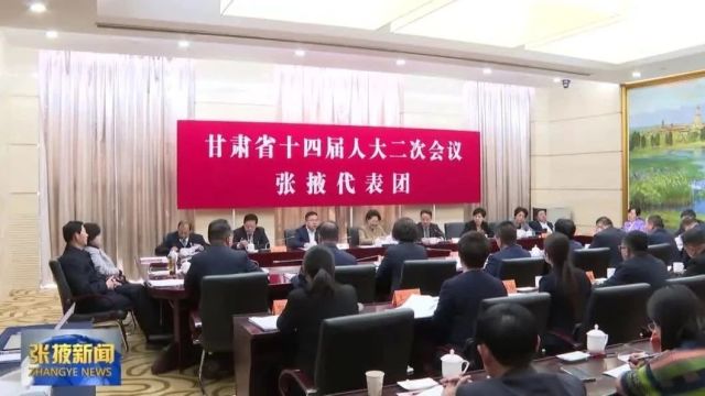 【视频】王海峰在审议省政府工作报告时说 找准定位精准发力 发挥优势补齐短板 共同把报告提出的各项目标任务落实好