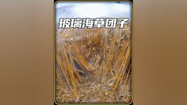 玻璃面和玻璃海草团子