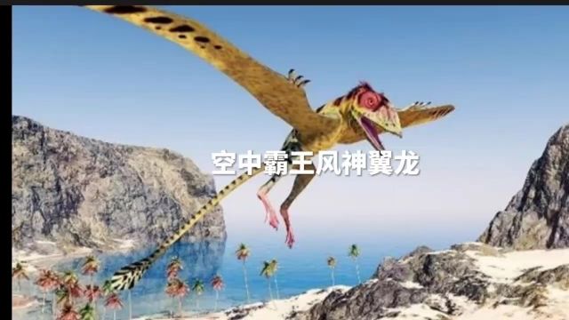 空中霸王风神翼龙