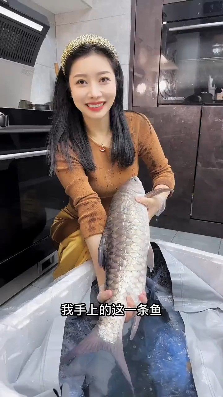 6000元买了一条全世界最贵的淡水鱼,忘不了鱼