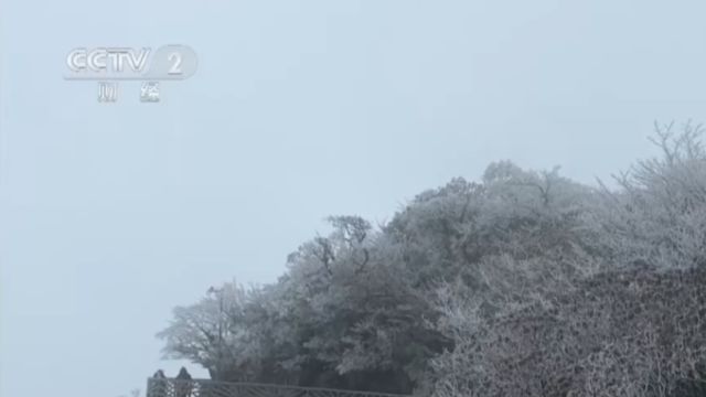 大范围雨雪来袭,湖南张家界:降温降雪,景区多措并举保安全