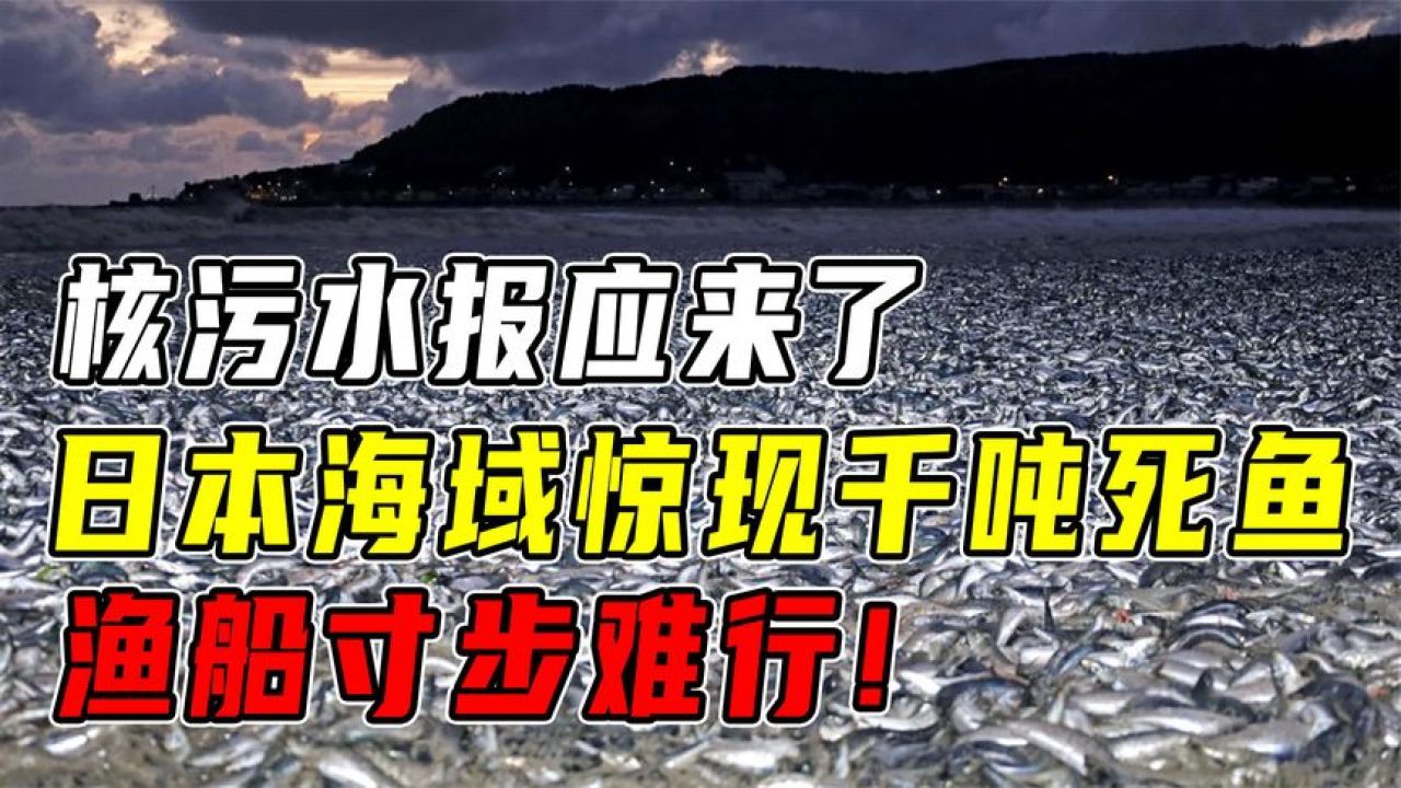 核汙水報應來了!日本海域驚現千噸死魚,漁船寸步難行!