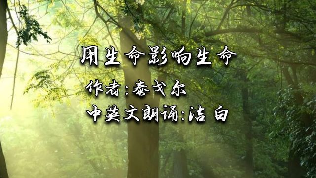 洁白中英文朗诵《用生命影响生命》作者:泰戈尔