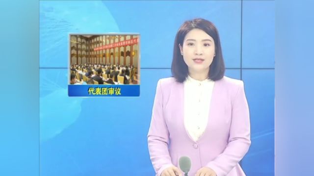 盛文军参加省十四届人大二次会议直管市林区代表团审议