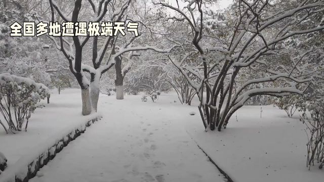 全国多地遭遇极端天气