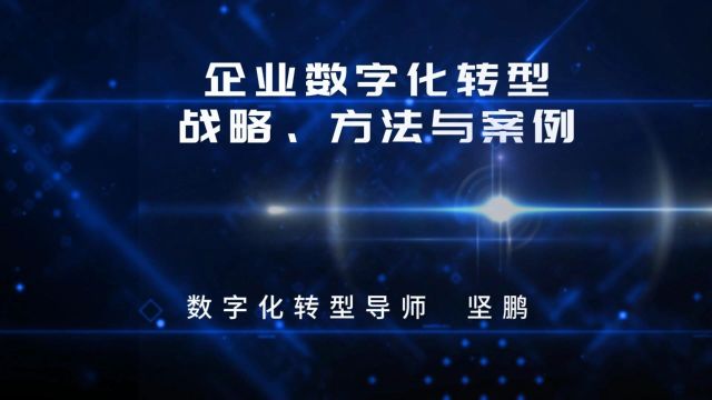 坚鹏湖南工信厅企业数字化转型战略、方法与案例培训视频(7)