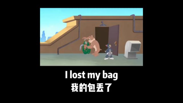 每日英语口语练习I lost my bag我弄丢了我的包