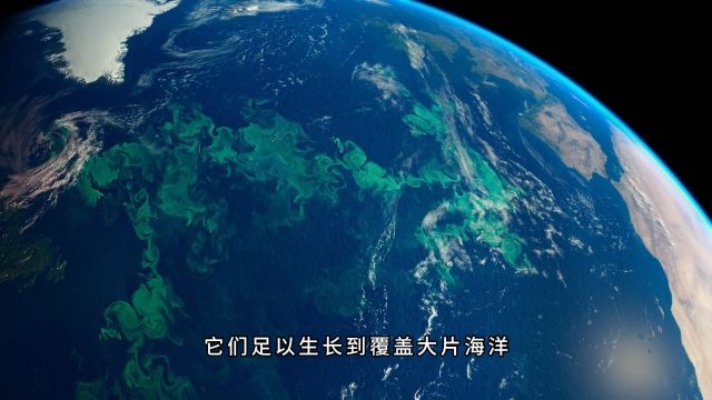 海洋生物的重要性,深海肥料被带回表面循环,创造了食物链的基础2