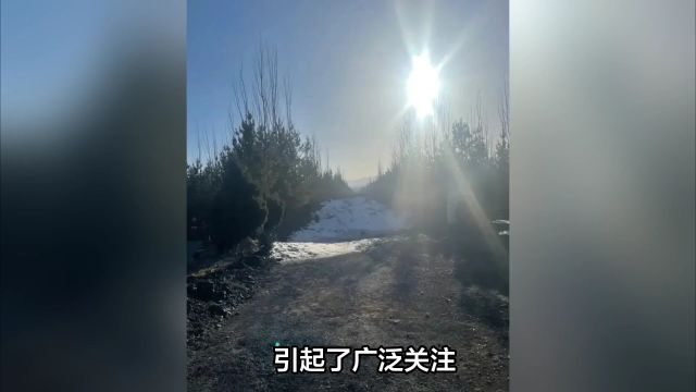 网曝朔州市山阴县怀仁市交界处防风林里惊现一处非法晾晒煤泥场地