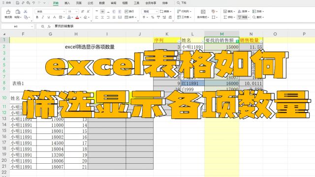 excel表格如何筛选显示各项数量