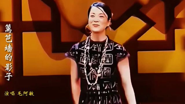 毛阿敏演唱歌曲《篱笆墙的影子》,声如天籁,百听不厌,太好听了