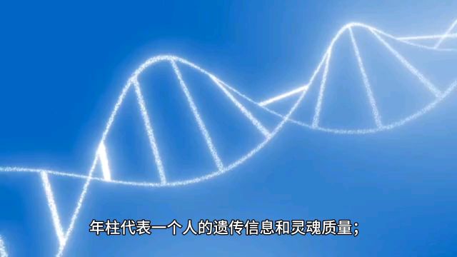 年柱代表一个人的遗传信息和灵魂质量#易学智慧 #命理八字