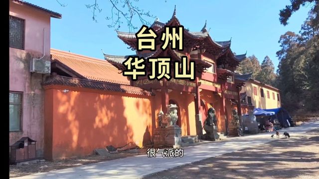 天台华顶山森林公园是AAAAA景区 景区里有好多千年杜鹃林