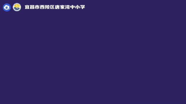 科学小实验熔岩灯