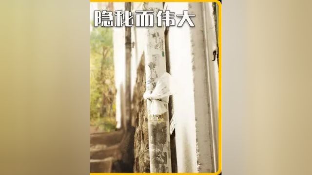 顶级特工伪装成傻子33《隐秘而伟大》#推荐电影 #精彩片段