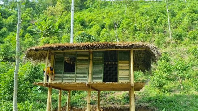 独居的女人竟然建造了一栋漂亮的小竹楼