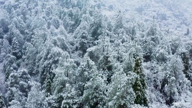 湖南省平江县板江乡南源村,毗邻湖北、江西,交通便利、物产丰富,人民热情好客,高山流水,勾勒出人间仙境般的画景.特色美食有火焙鱼、黄鳝面、...