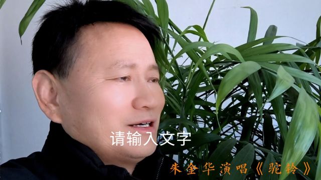 朱金华演唱《驼铃》