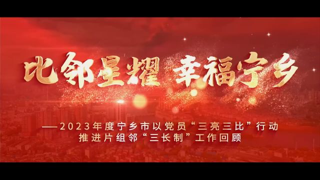 以党员“三亮三比”行动创新推进片组邻“三长制”宁乡凝聚基层治理新气象