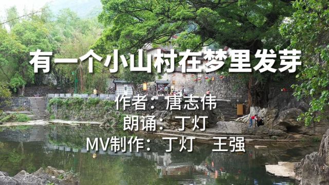 唐志伟、丁灯诗歌MV《有一个小山村在梦里发芽》