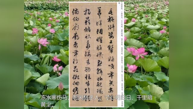 唐诗朗诵《从军行》等四首 唐 杨炯,书法 文徵明《草书千字文》