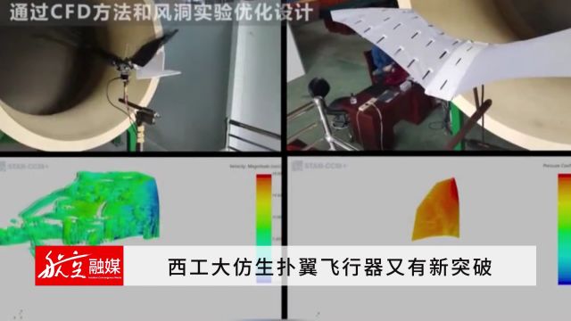 西工大仿生扑翼飞行器又有新突破