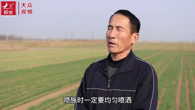 视频 | 巨野县春耕备战忙,确保农用物资供应不断