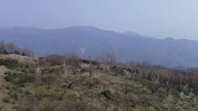 徒步鹤鸣山