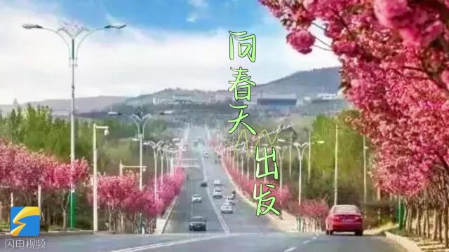 稳扎稳打有干头|青州人的“春天里” 抖擞精神往前去