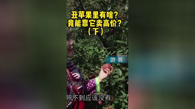 丑苹果里有啥?竟能靠它卖高价?(下)