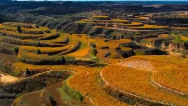 高西沟村的植树造林征山治水,是一件危险系数极高的事情