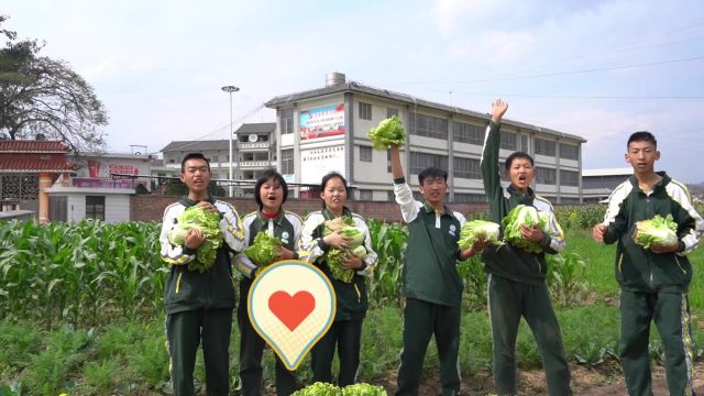 景东县特殊学校蔬菜义卖活动马上开始啦,今天下午1830凌云路南方电网公司旁,快来购买吧!