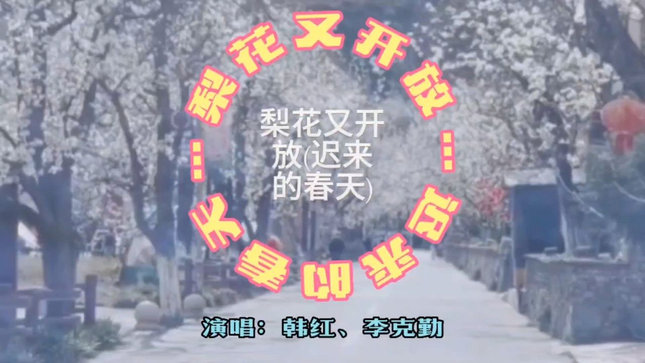 迟来的春天----梨花又开放