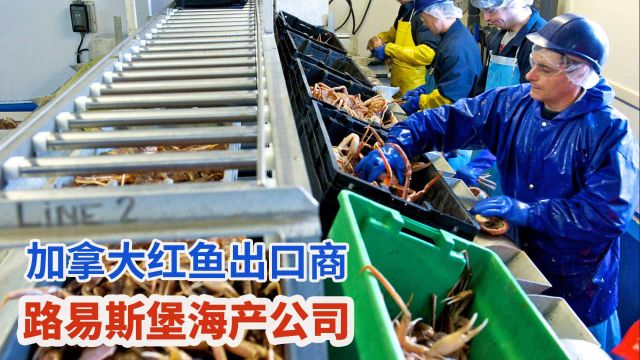 加拿大红鱼出口商:路易斯堡海产公司