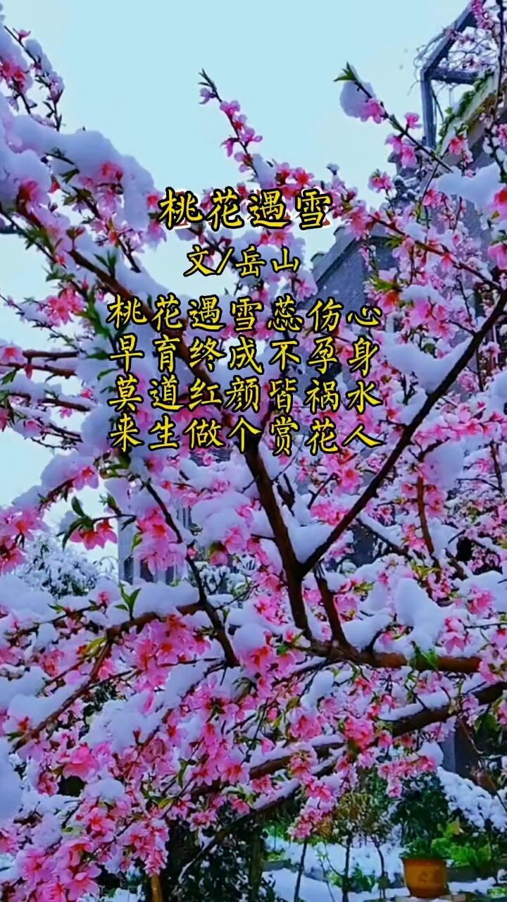 创作灵感 #治愈系风景 #原创诗词 #踏春赏花 #世外桃源