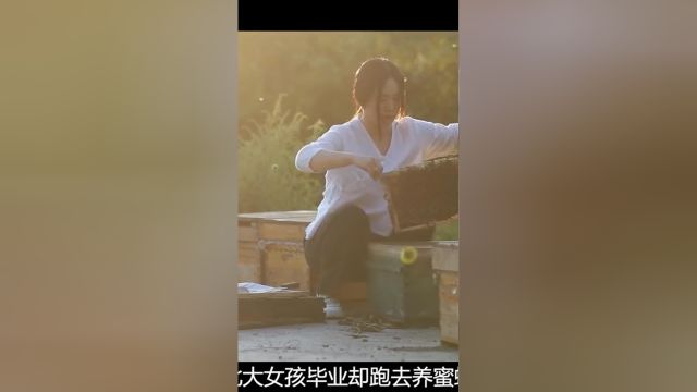 北大才女裸辞前首富公司,一个人在深山里养蜜蜂,背后真相令人动容