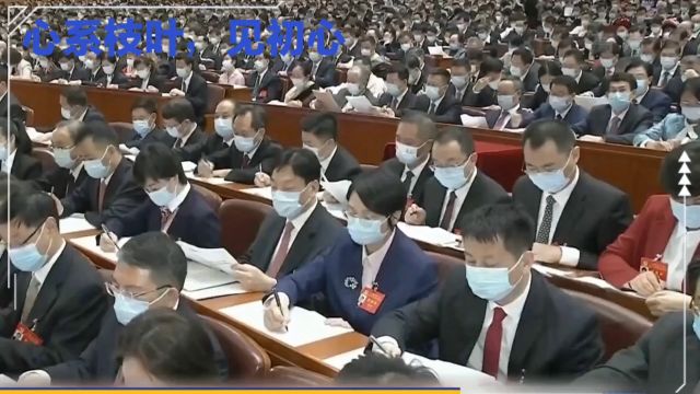 枝叶关情见初心:积极回应人民期待