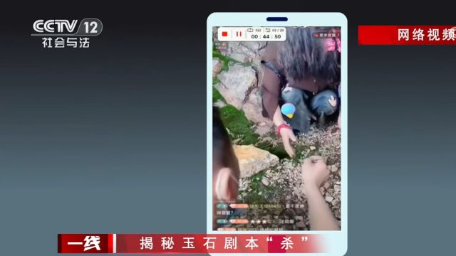 某主播杜撰故事“卖惨”博取粉丝同情疯狂直播带货,粉丝群内曝光真相