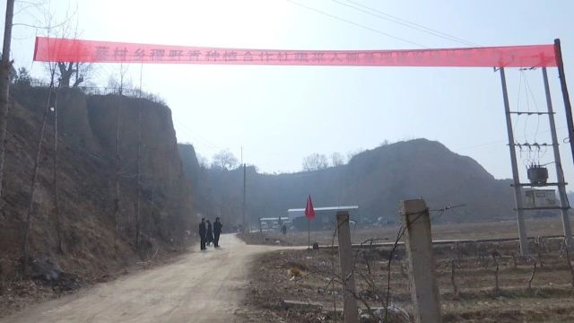 蔡村乡稷野香种植合作社蔬菜大棚基地建设项目举行开工仪式