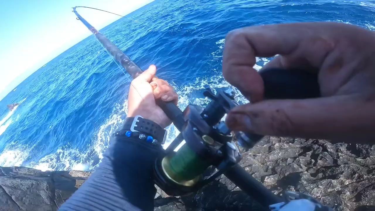 矶钓,石鲷鱼钓起来真刺激,钓过的才懂