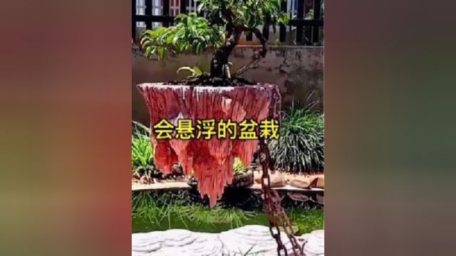 农村小伙制作一个悬浮的花盆,成品一出,非常美观,这到底是什么原理呢!