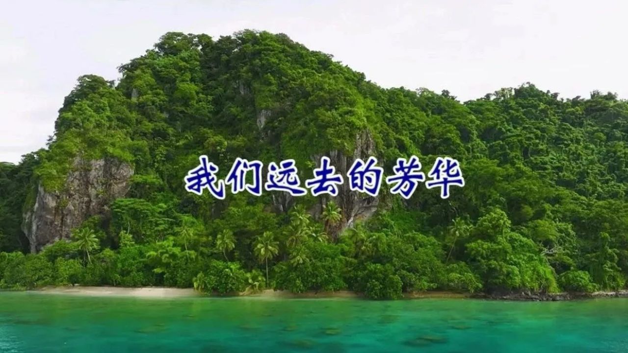 小提琴《我们远去的芳华》愿芳华永存,一路芬芳