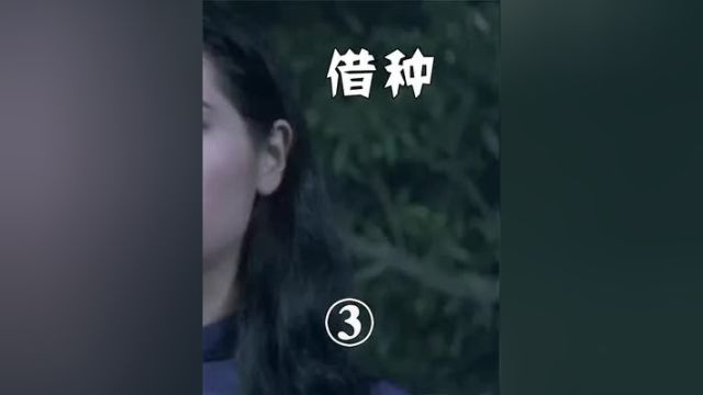 夫妇二人去南方借种生娃,没想到酿成一宗灭门惨案 #恐怖电影 #怀旧经典影视