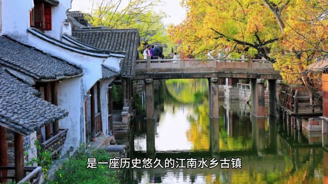 福善寺与银杏树:濮院古镇的古老记忆