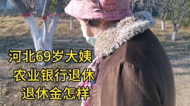 河北69岁大姨,农业银行退休,退休金怎样