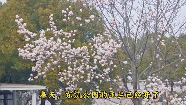 春天逛公园,宜兴东氿公园,赏湖看花看野鸭,户外踏春走起